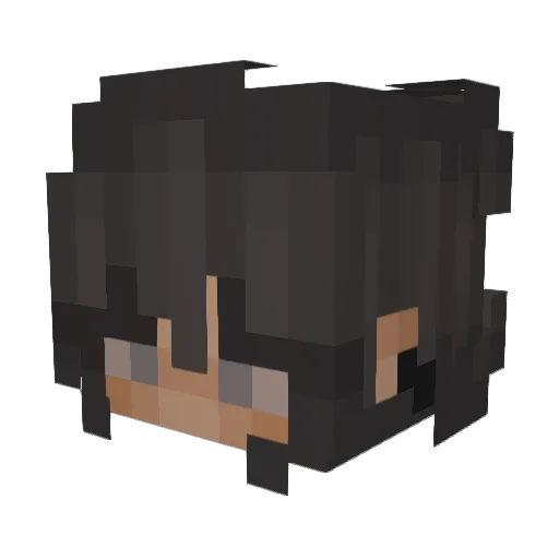 NaSJoss Minecraft avatar head, 3D render