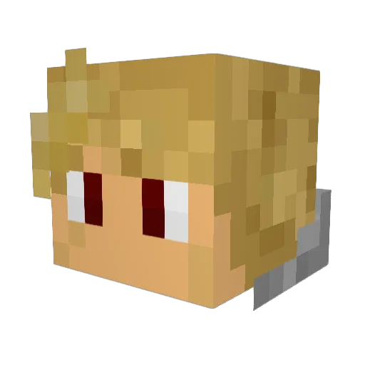 NaTuRaL456 Minecraft avatar head, 3D render
