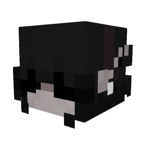 NaTuReRR Minecraft avatar head, 3D render