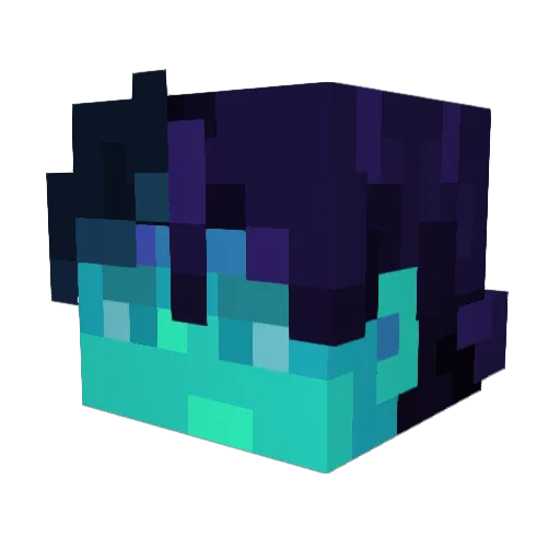 NaUshkk Minecraft avatar head, 3D render