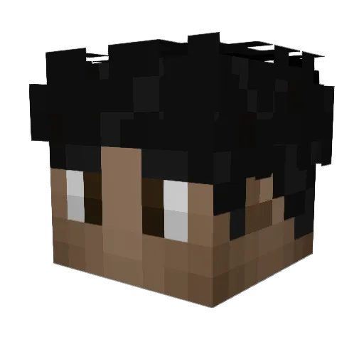 NaVaAle Minecraft avatar head, 3D render