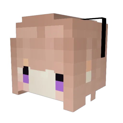 Na_0u0b Minecraft avatar head, 3D render