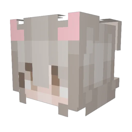 Na_nami Minecraft avatar head, 3D render