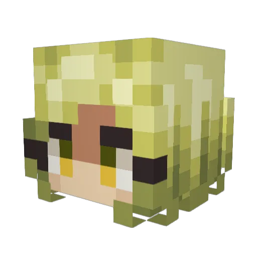Naa_1 Minecraft avatar head, 3D render