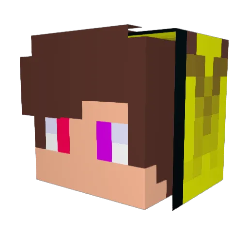 Naaaaaaasan Minecraft avatar head, 3D render