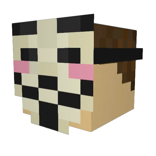 Naaberzz Minecraft avatar head, 3D render