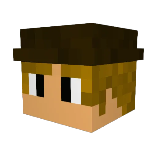 Naabzoo Minecraft avatar head, 3D render