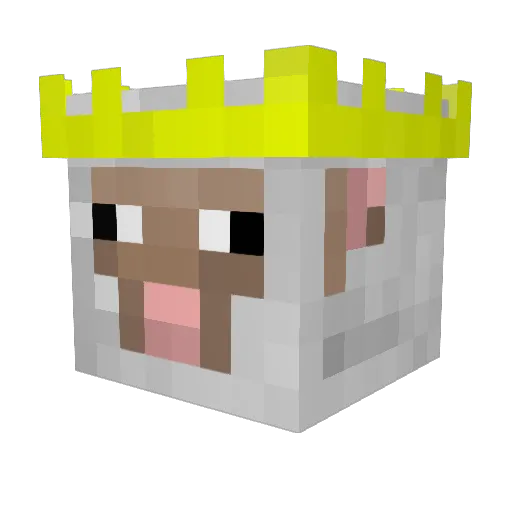 Naadi100 Minecraft avatar head, 3D render