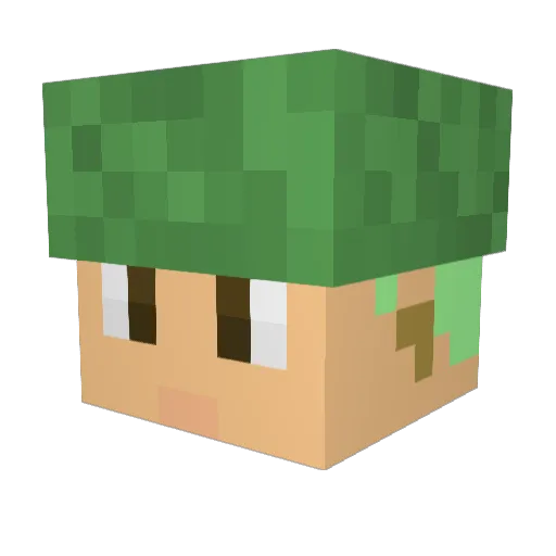NaahItsMe Minecraft avatar head, 3D render