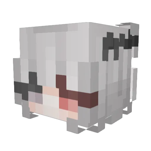 Naanfox Minecraft avatar head, 3D render