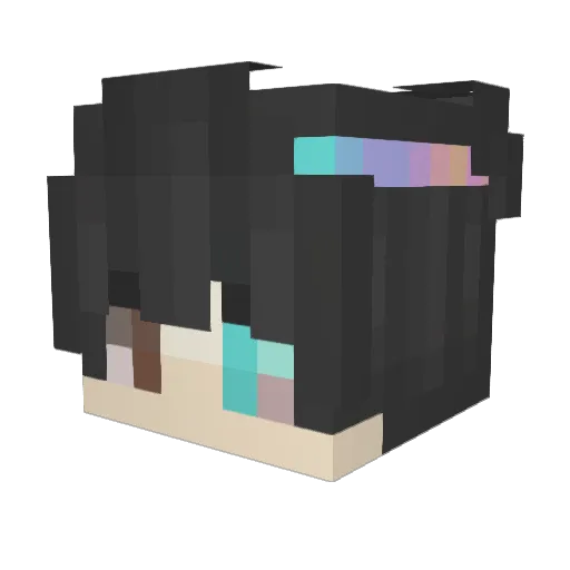 Naans_ Minecraft avatar head, 3D render