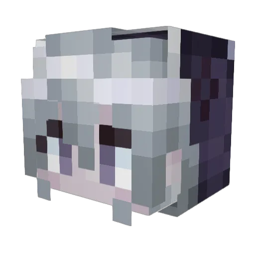 NaarSudTep Minecraft avatar head, 3D render