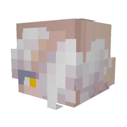 Minecraft-Avatar von Naarai: Kopf als 3D-Render