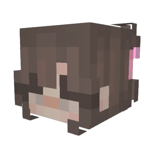 Naasu10 Minecraft avatar head, 3D render