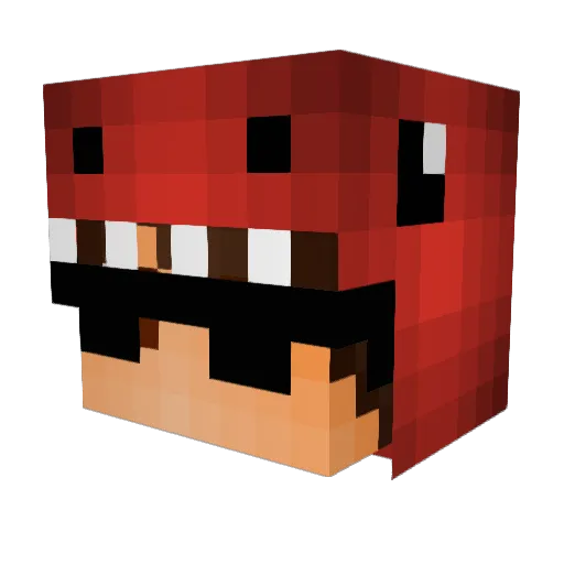 Naathannn Minecraft avatar head, 3D render