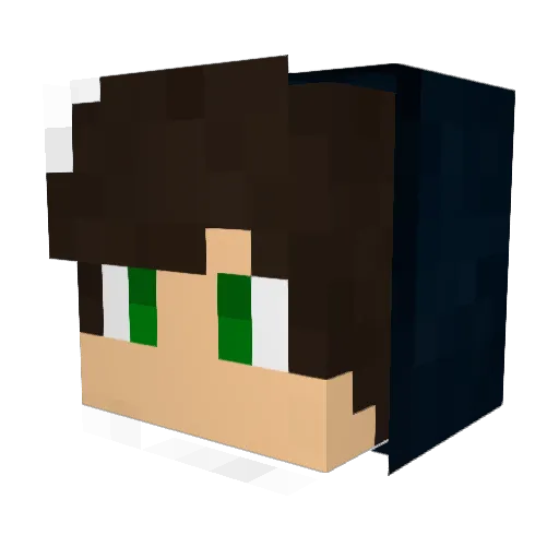 Naatti_ Minecraft avatar head, 3D render