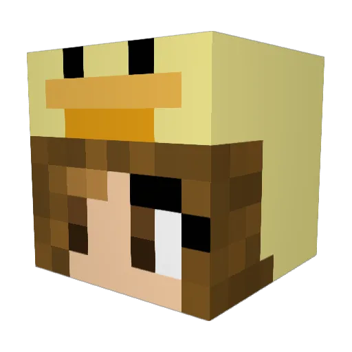 NaayiG Minecraft avatar head, 3D render