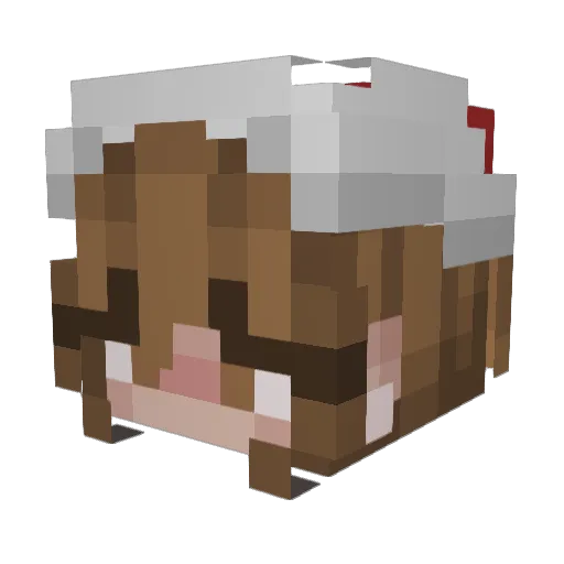 Naayoo Minecraft avatar head, 3D render