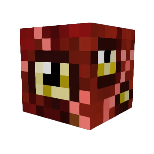 Nabau Minecraft avatar head, 3D render