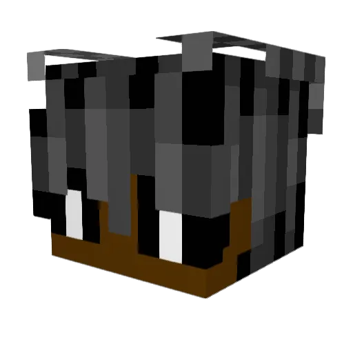 NabboBiscotto Minecraft avatar head, 3D render