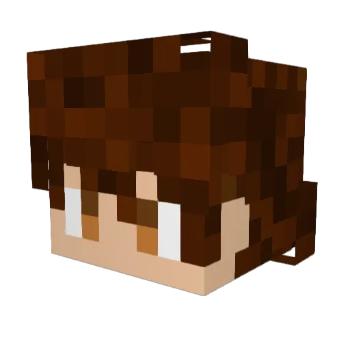 Nabboss Minecraft avatar head, 3D render