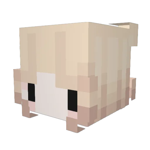Nabiivv Minecraft avatar head, 3D render