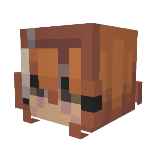Nabinel Minecraft avatar head, 3D render
