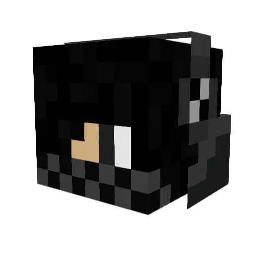 Nabinoo Minecraft avatar head, 3D render