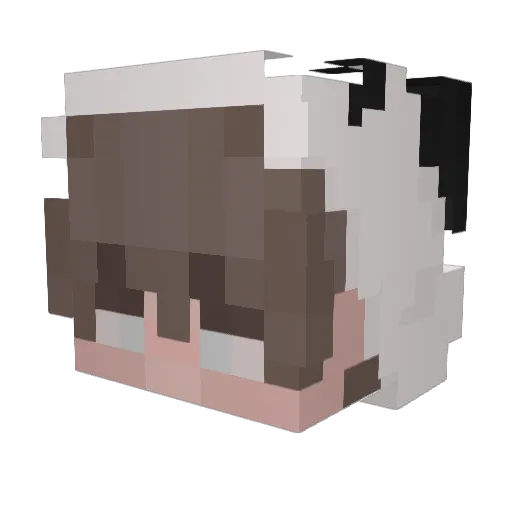 Nabitoma Minecraft avatar head, 3D render