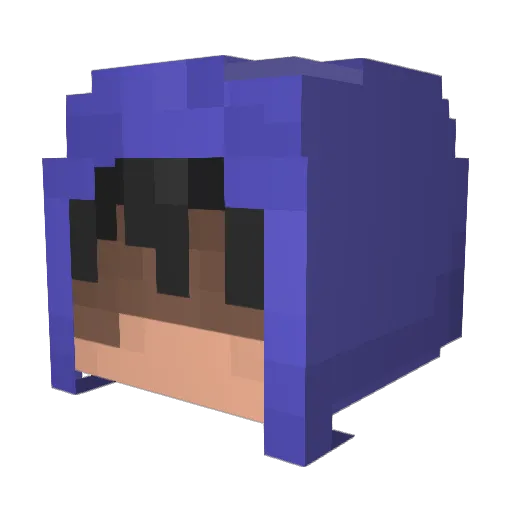 Nablyu Minecraft avatar head, 3D render