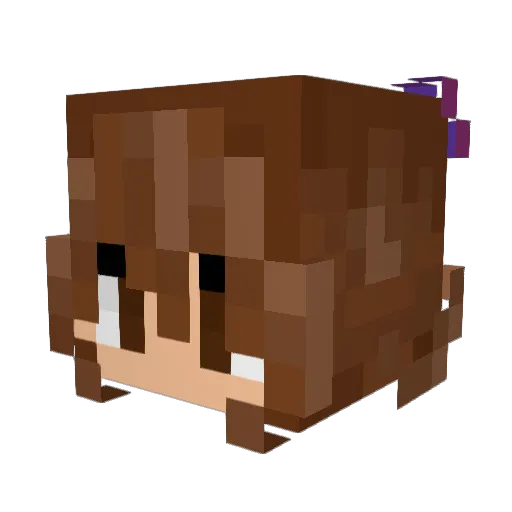 Naboo_lani Minecraft avatar head, 3D render