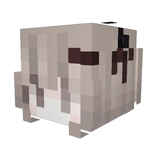 Naborcrepy Minecraft avatar head, 3D render