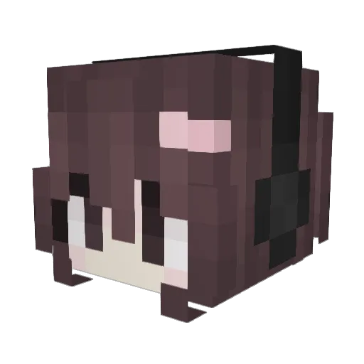 Nabri Minecraft avatar head, 3D render