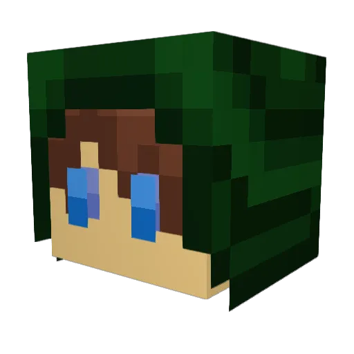 Nac543 Minecraft avatar head, 3D render