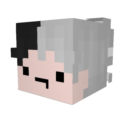 Nac_Johnsson Minecraft avatar head, 3D render