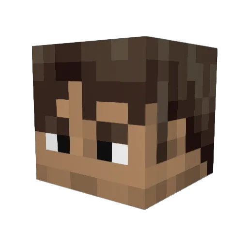 Nacary1 Minecraft avatar head, 3D render