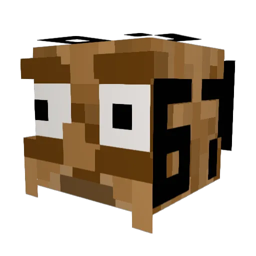 Nacho1945 Minecraft avatar head, 3D render