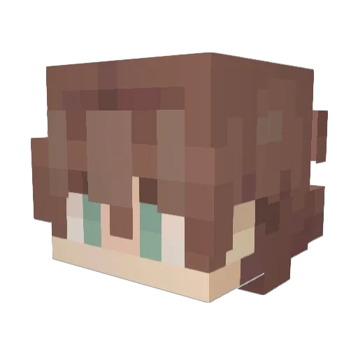 NachoCat22 Minecraft avatar head, 3D render