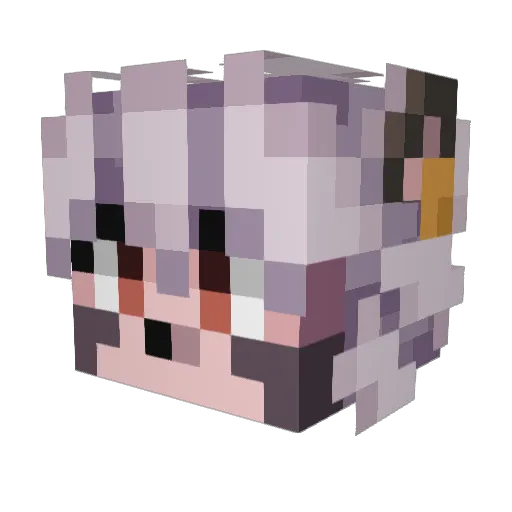 NachoMan123321 Minecraft avatar head, 3D render