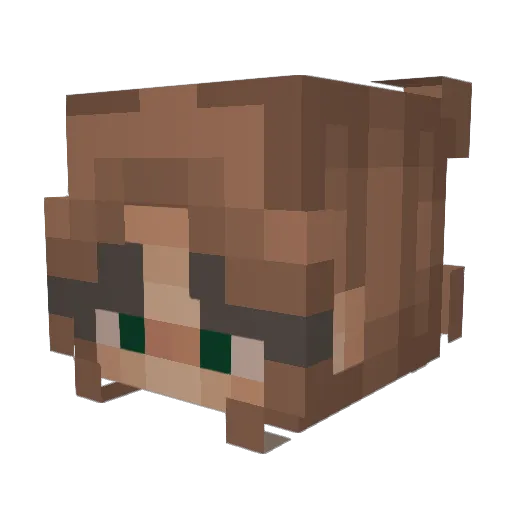NachoPallison Minecraft avatar head, 3D render