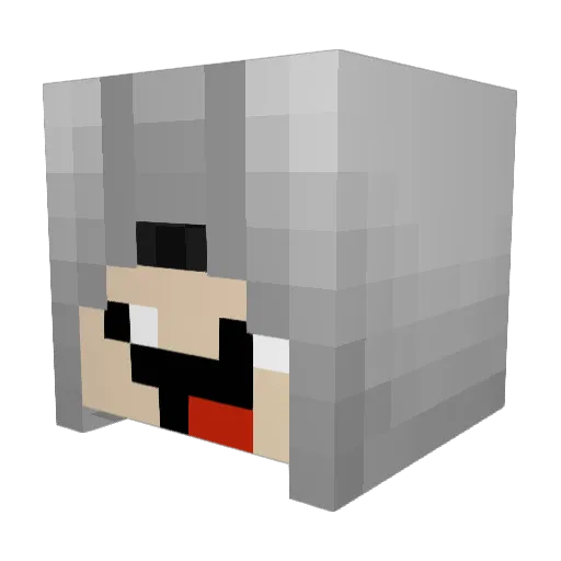 Nacho_5234 Minecraft avatar head, 3D render