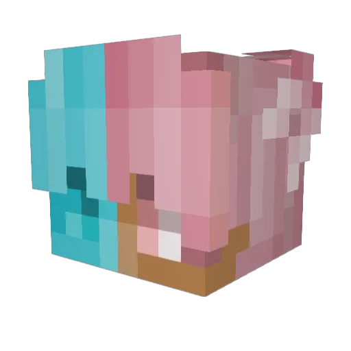 Nacho_Senpai Minecraft avatar head, 3D render