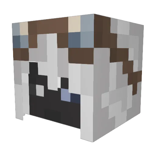 Nacho_kngiht Minecraft avatar head, 3D render