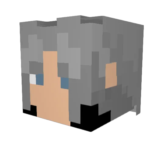 Nachotron98 Minecraft avatar head, 3D render