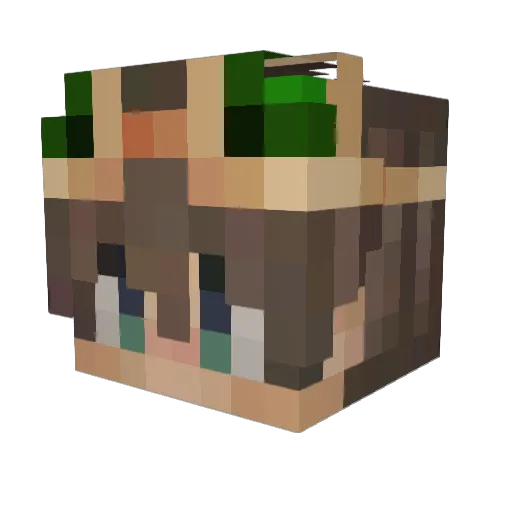 Nacht3ul3 Minecraft avatar head, 3D render