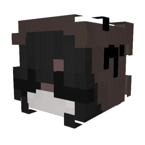 NachtGoettin Minecraft avatar head, 3D render
