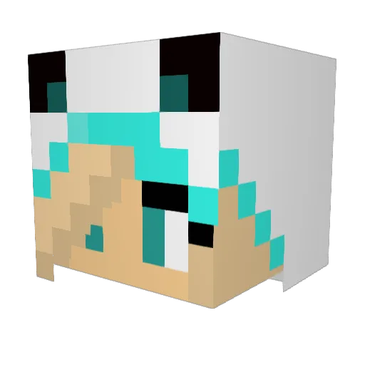 NachtPanda Minecraft avatar head, 3D render