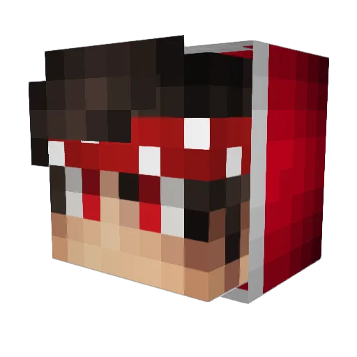 Nachtara_gamer Minecraft avatar head, 3D render
