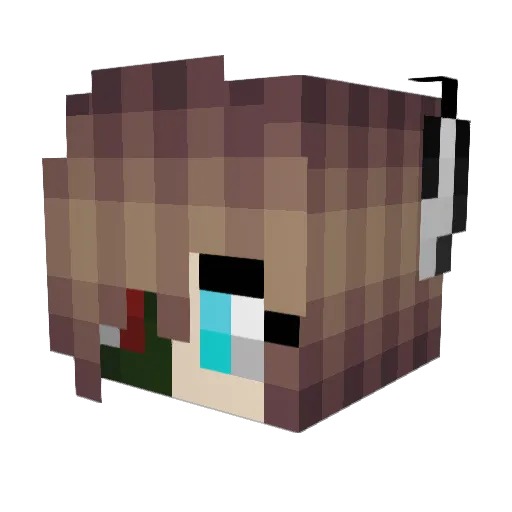 Nachtblitz0789 Minecraft avatar head, 3D render