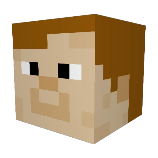 Nachthai Minecraft avatar head, 3D render
